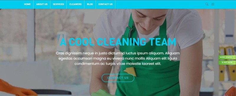 Cleaning Services